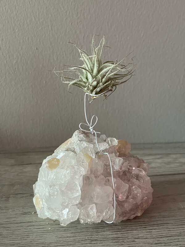 Crystal Air Plant Holder