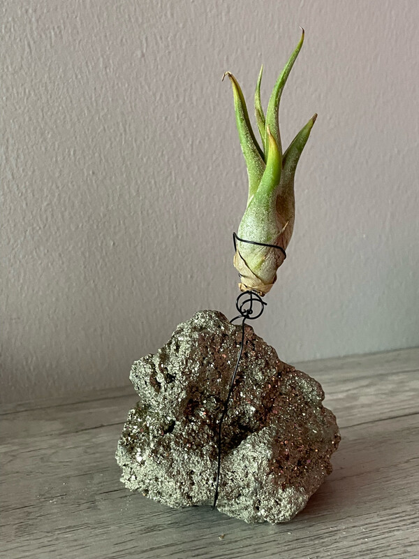 Crystal Air Plant Holder
