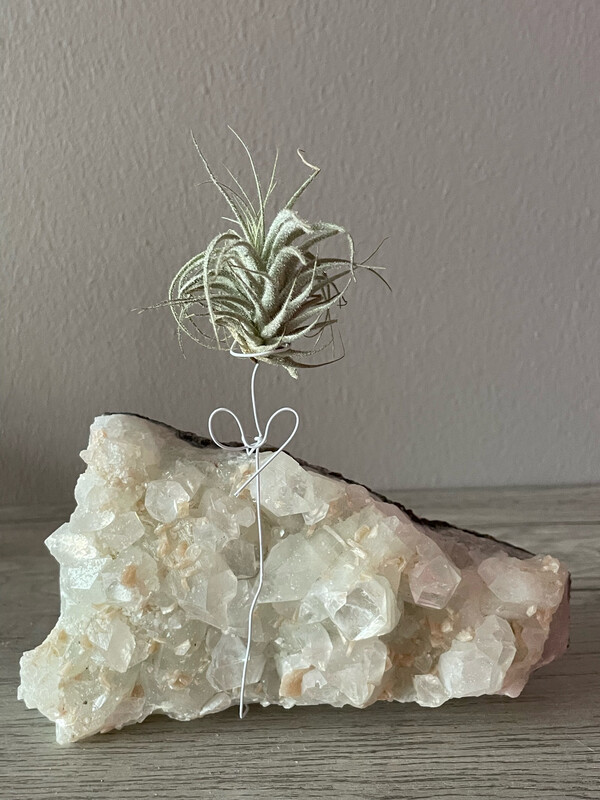 Crystal Air Plant Holder