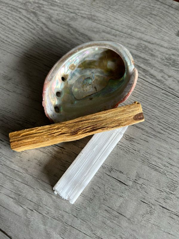 Abalone Shell Kit
