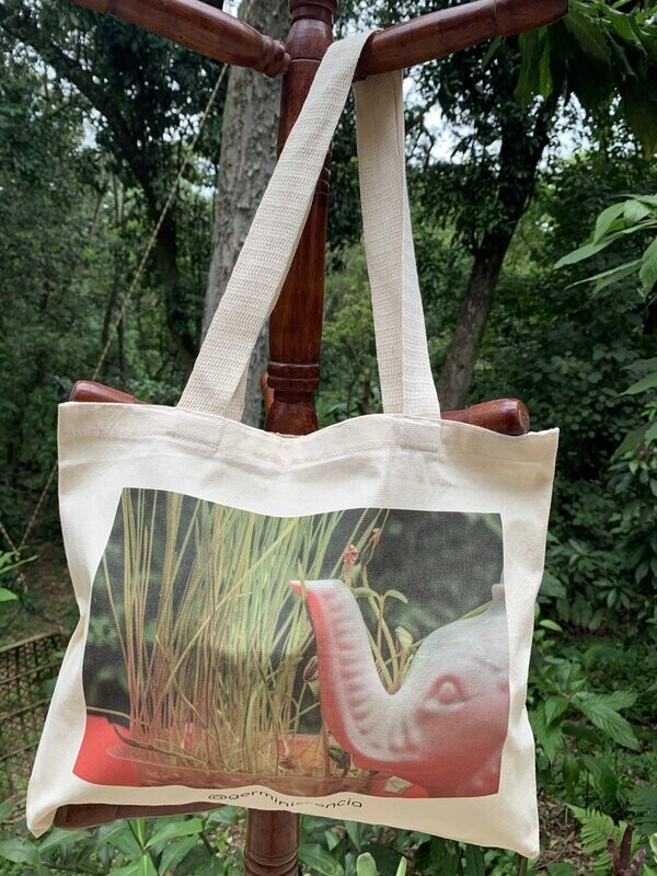 Sacolas Ecológicas