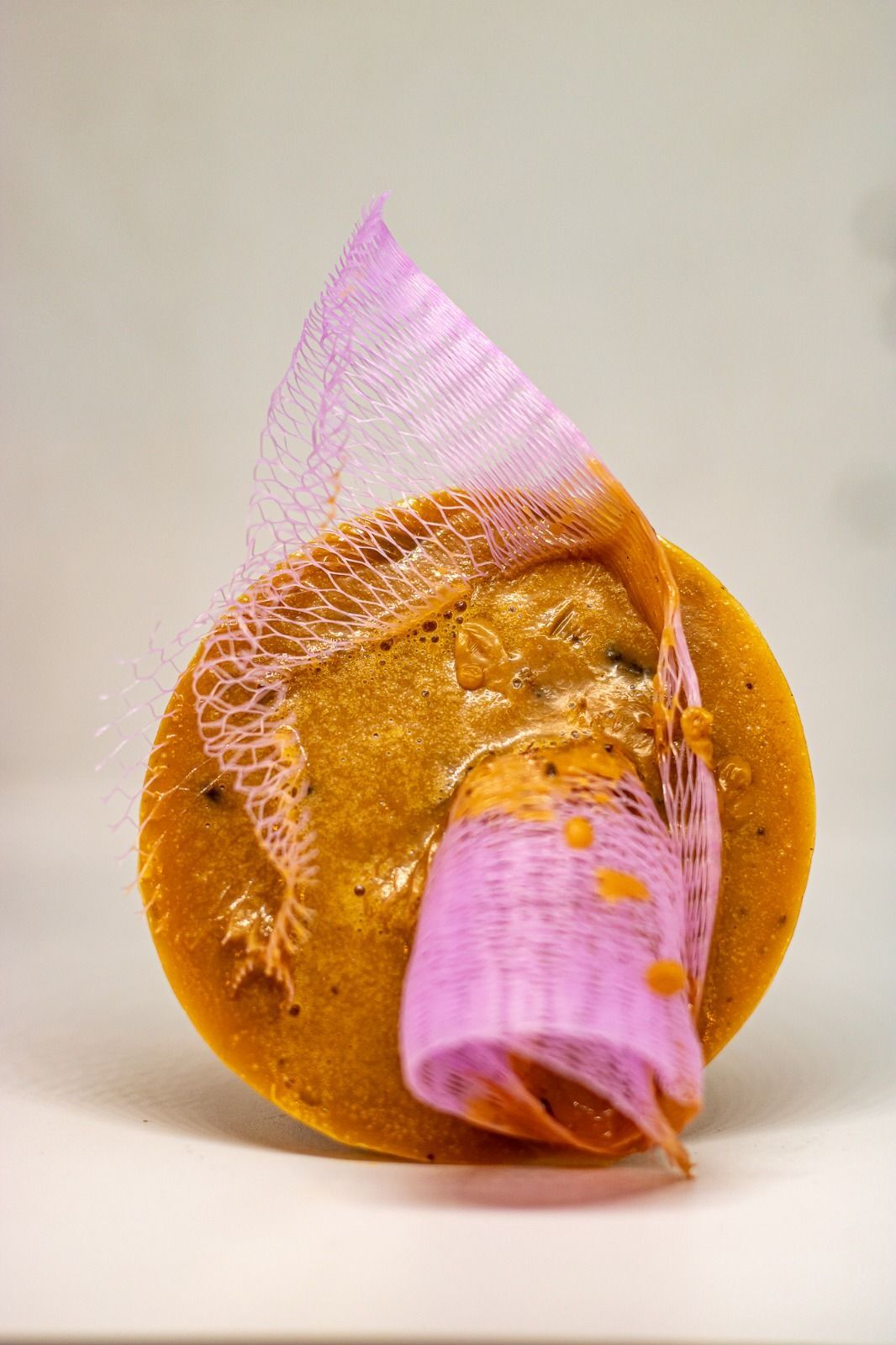 Cosméticos Probióticos