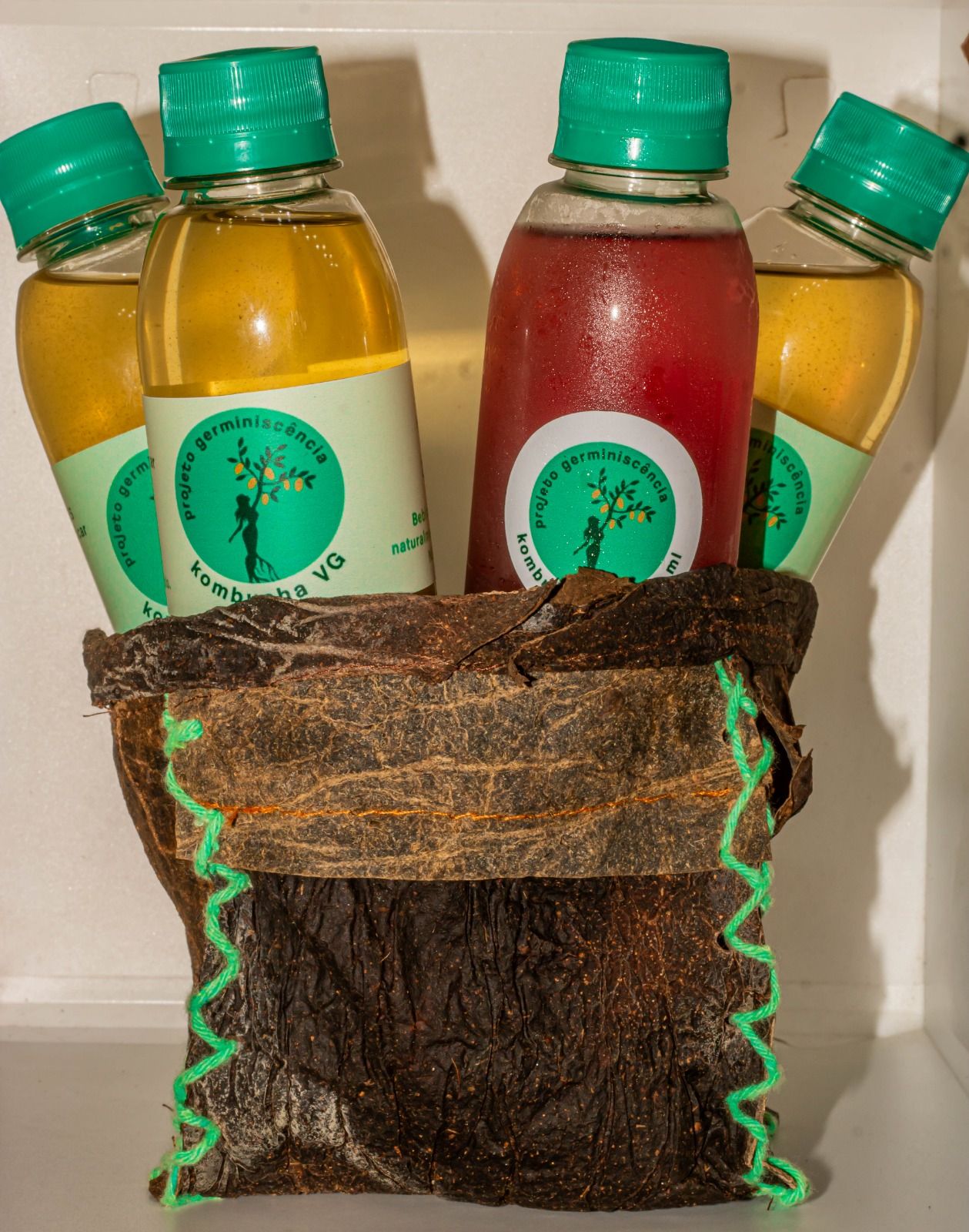 Acessórios de couro bacteriano