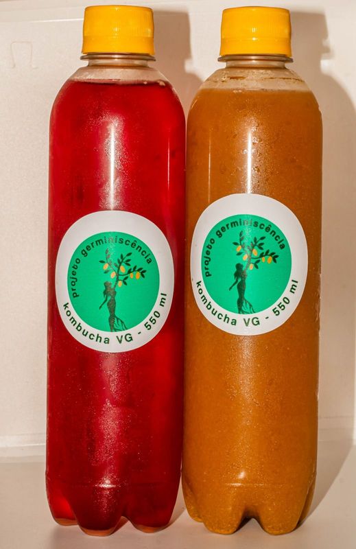 Kombucha Artesanal