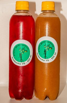 Kombucha Artesanal