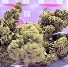 Amnesia Lemon Haze Indoor 22% CBD 100g