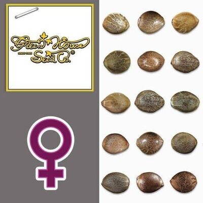 Graines de collections