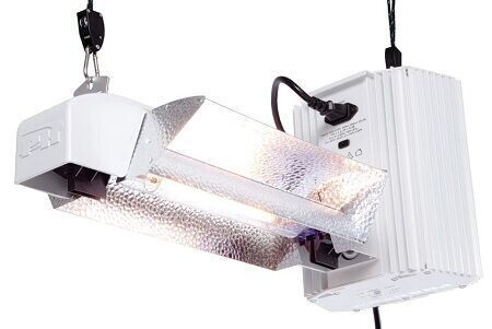 PHANTOM 1000W E-50 DOUBLE EXTRÉMITÉ OPEN LIGHT KIT AVEC AMPOULE AGROSUN