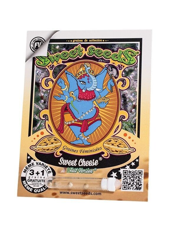 SWEET CHEESE F1 FAST VERSION FÉMINISÉE