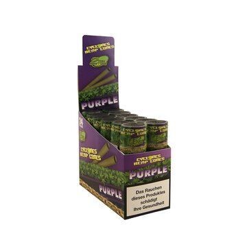 CYCLONES VIOLETS CHANVRE 2X12