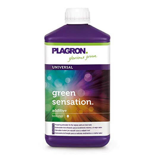 PLAGRON GREEN SENSATION