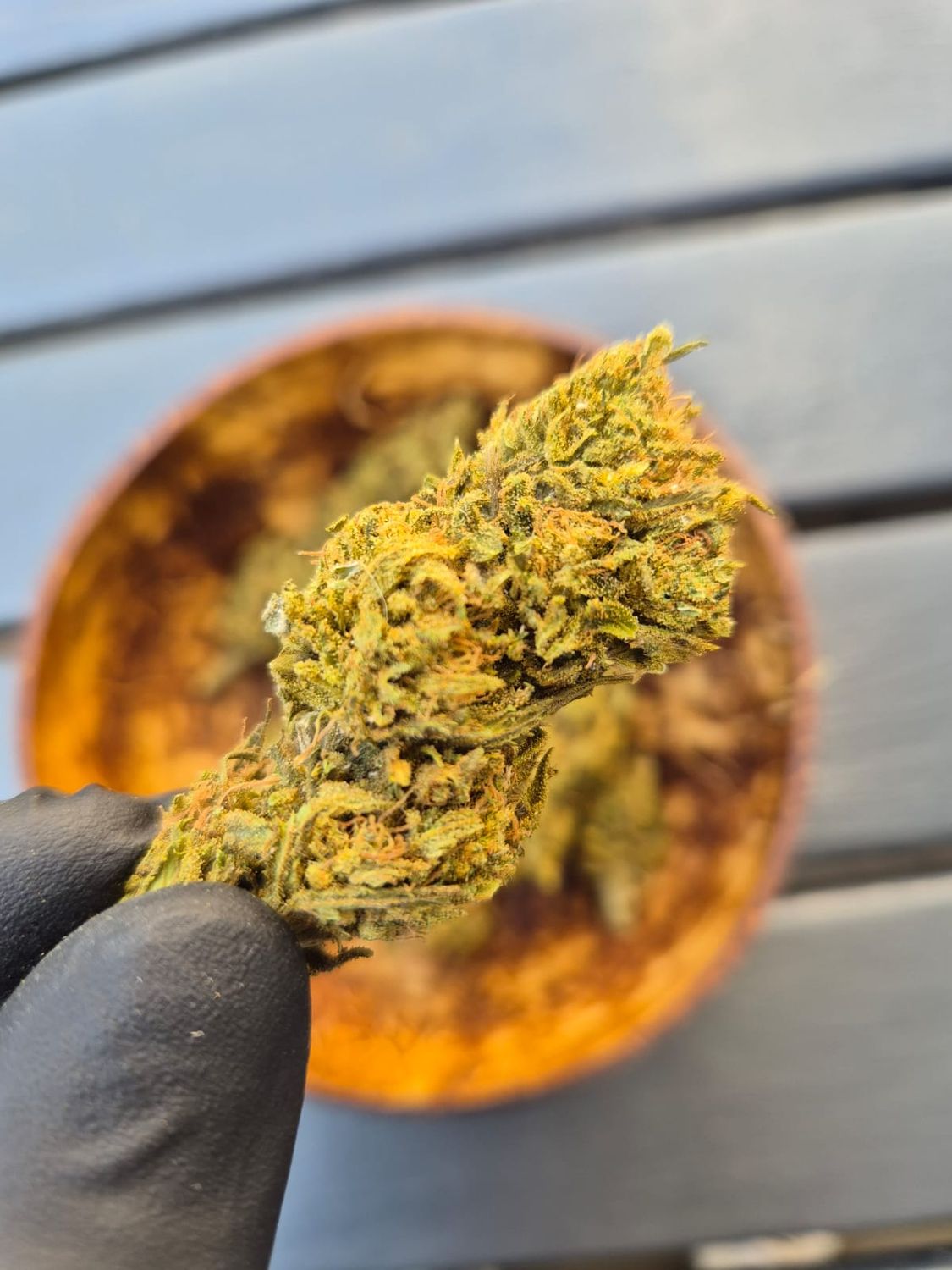 Lemon Haze XL FR