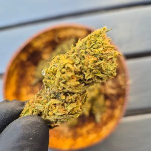 Super Lemon Haze XL  FR