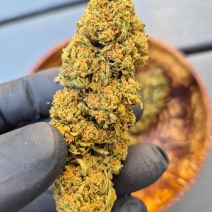 Bubba Kush – Glasshouse XXL 100gr  FR