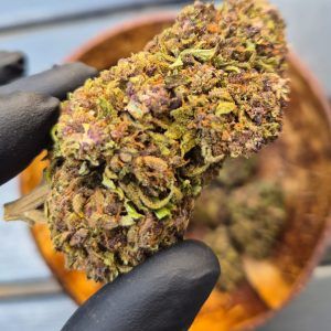 Purple Haze – GlassHouse XL  100gr  FR