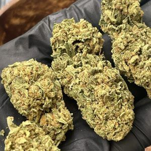 AK-47 Indoor 100gr   FR