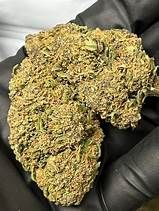 Royal Runtz – Glasshouse XXL bio  FR  100gr