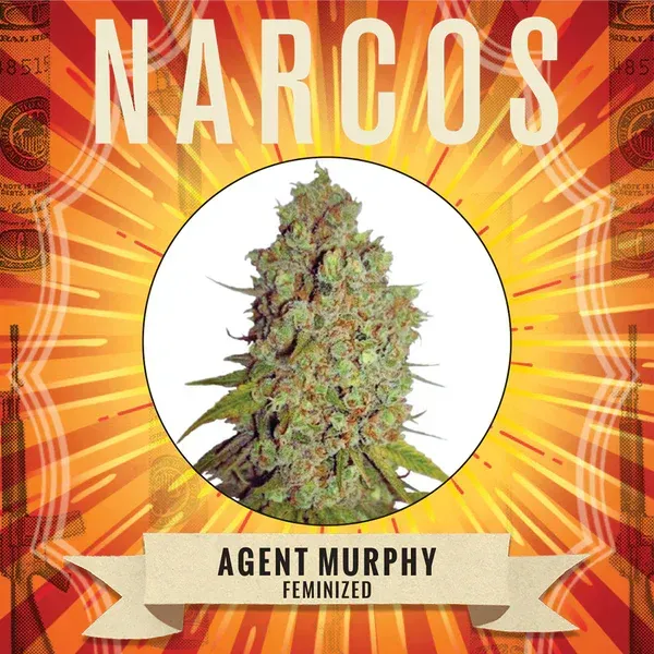 Agent NARCOS Murphy Féminisé