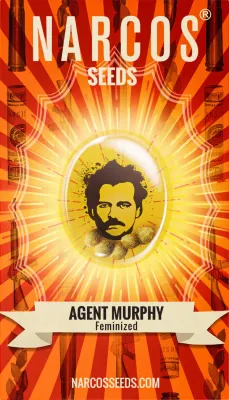 NARCOS SEEDS