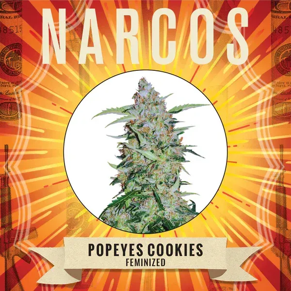 Biscuits Popeyes de NARCOS