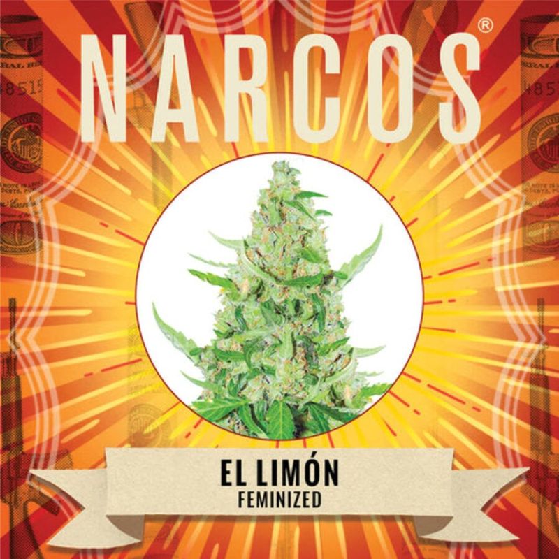 NARCOS El Limon féminisé
