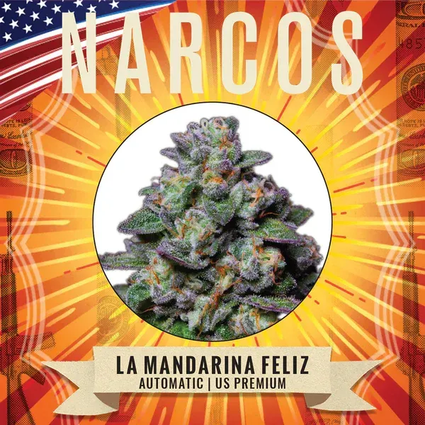 NARCOS La Mandarine Heureuse féminisé