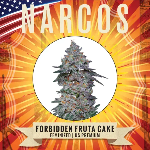 Gâteau aux fruits interdits de NARCOS féminisé us premium