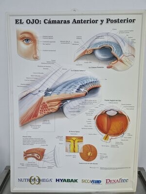 Carteles oftalmología. Alquiler carteles de clinicas.