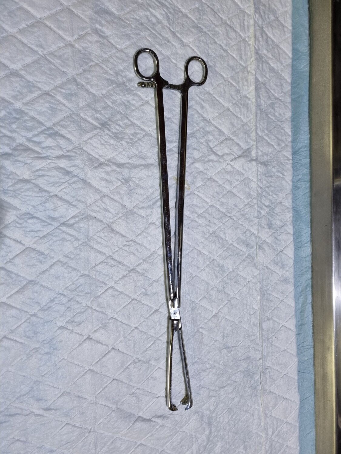 pinzas disección ginecología. pinzas Allis 30 cm.