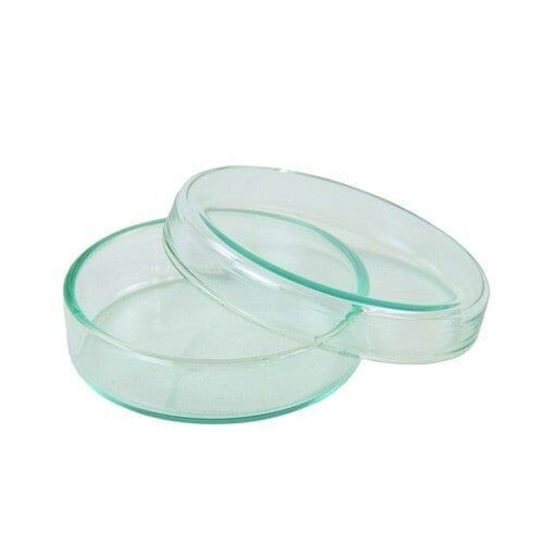 Placa de Petri, doble 6 cm