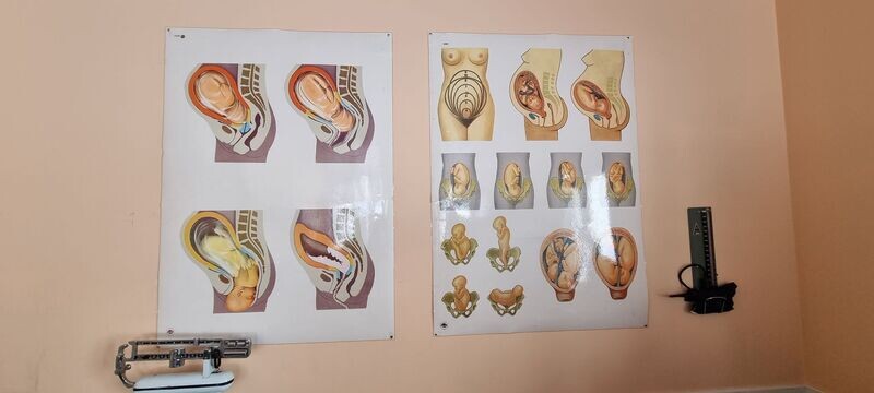 Carteles ginecología. Alquiler carteles hospitalarios