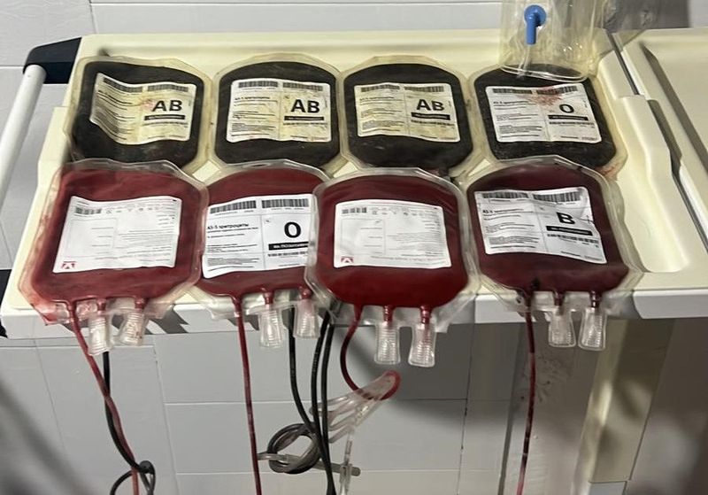 Alquiler bolsa de sangre. Bolsa de sangre realista. Bolsa de sangre ficticia.