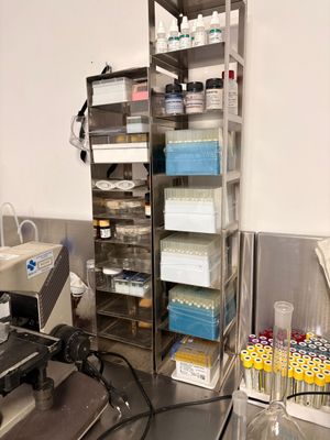 Almacén laboratorio. Rack de laboratorio.