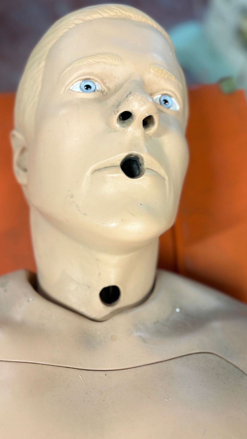 Maniquí. Alquiler maniquí de enfermería Maniquí. Alquiler maniquí de enfermería