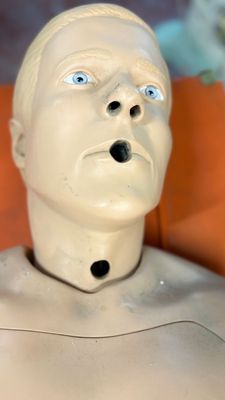 Maniquí. Alquiler maniquí de enfermería Maniquí. Alquiler maniquí de enfermería