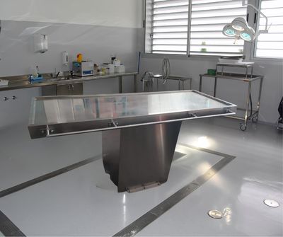 Mesa autopsias. Mesa forense. Alquiler camilla de autopsias.