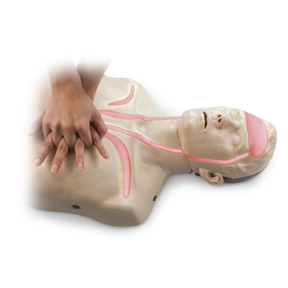 Brayden maniquí. Alquiler maniquí con iluminación led.