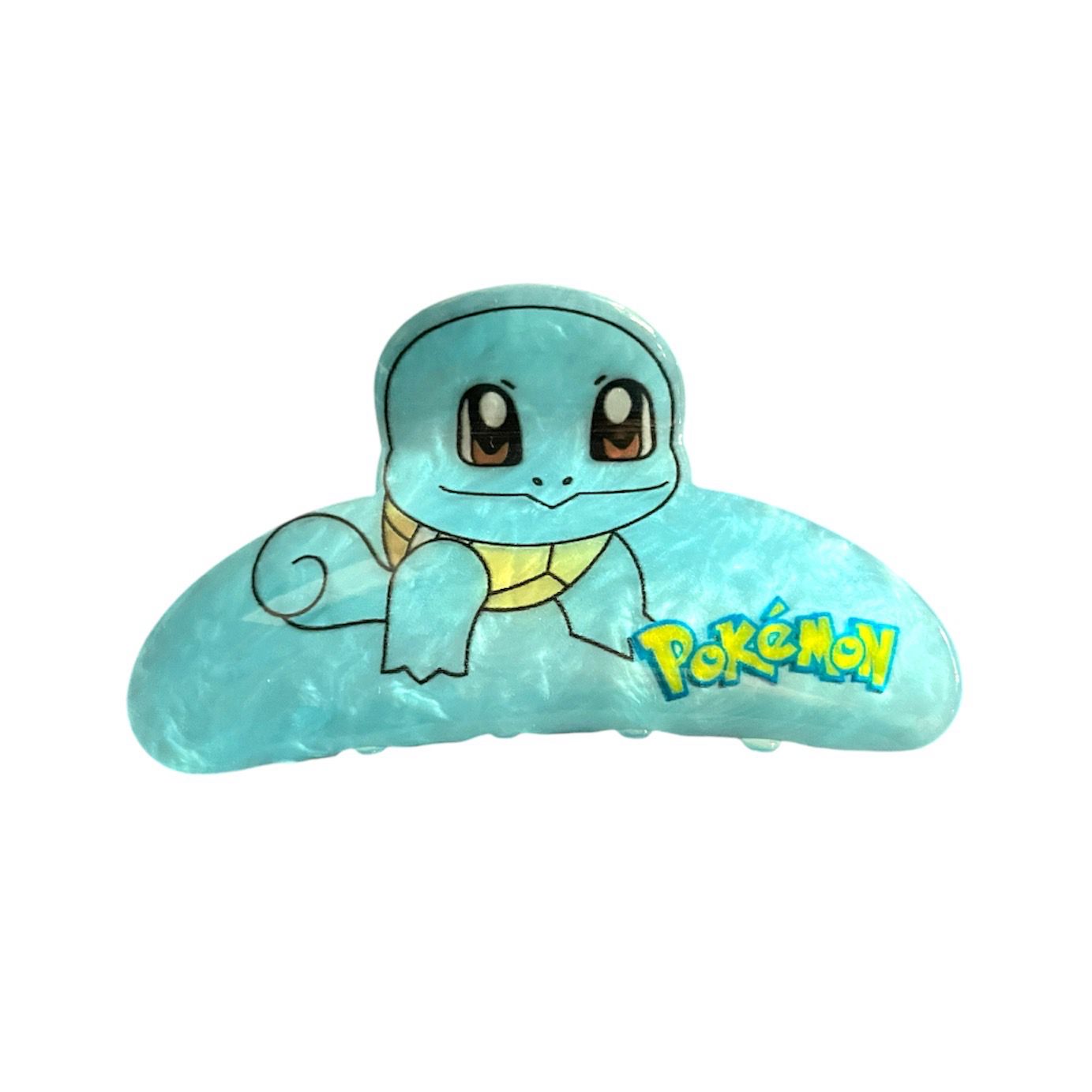 Haarklem Squirtle