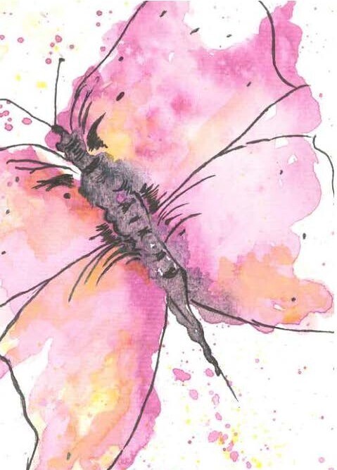 Pink Butterfly