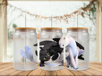 Toothless Dragon With Light Fury