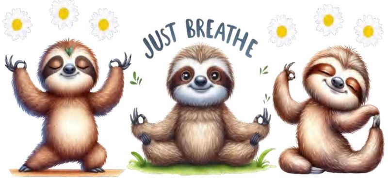 Sloth Just Breathe