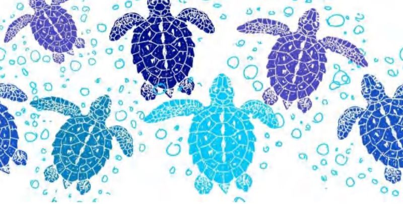 Blue &amp; Baby Blue Turtles