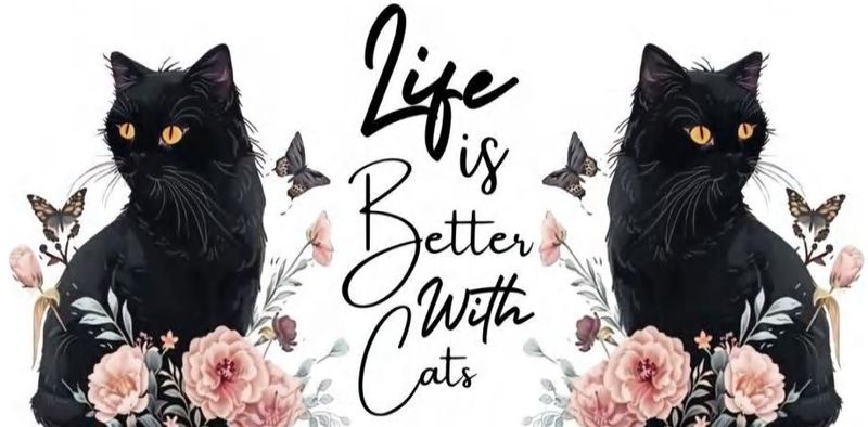 Life Is Better With Cats