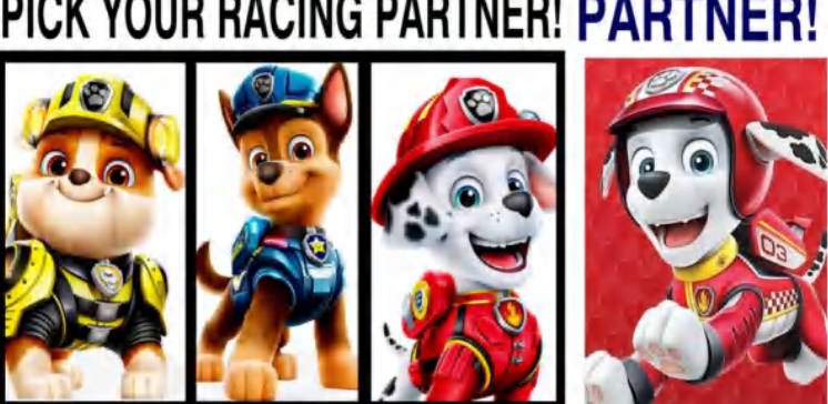 Paw Patrol Pick Your Racking Partner!