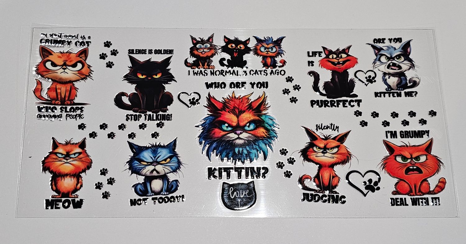 Who Are You Kittin