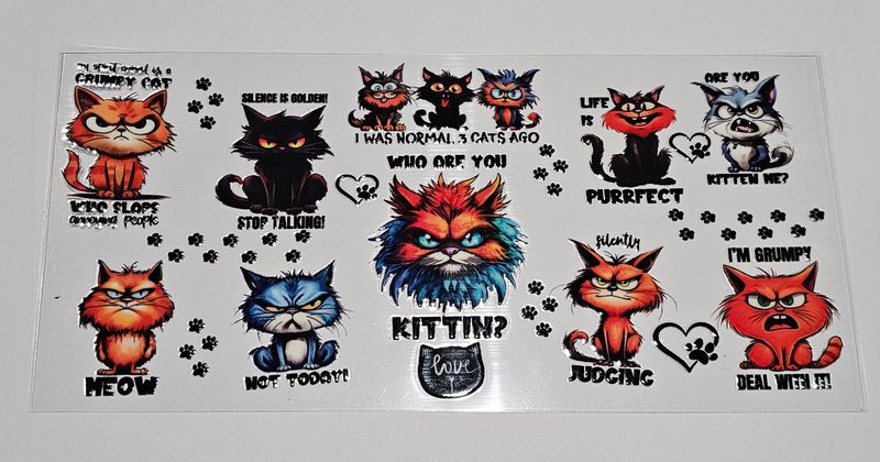 Who Are You Kittin