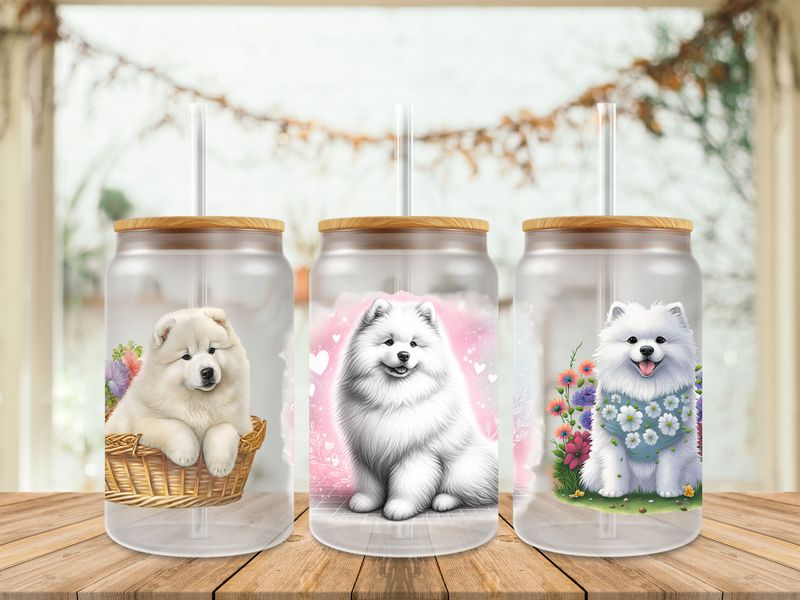 Cute Samoy Doggy
