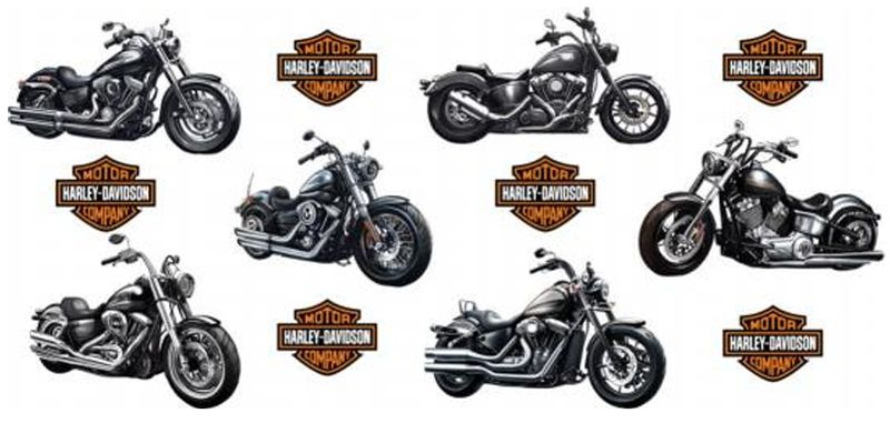 Double Sided Harley Davidson 2