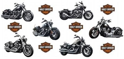Double Sided Harley Davidson 2