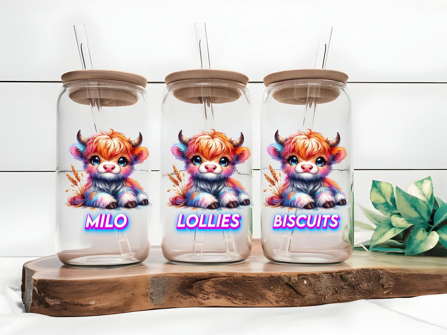 Highland Cow Colourful Milo Lollies Biscuits